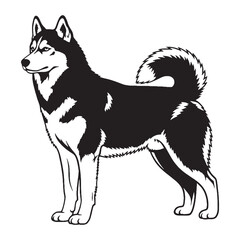 Fototapeta premium Defined Siberian Husky digital black image, characterized by sharp, distinct lines - Siberian Husky silhouette - Siberian Husky Vector - Silhouette of Siberian Husky - dog vector