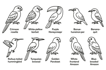 Fototapeta premium Birds line icon set. parrot, toucan, songbird, hummingbird outline collection