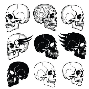 Side View Human Skull Vector Set &ndash; Realistic, Tattoo Style, Silhouette & Vintage