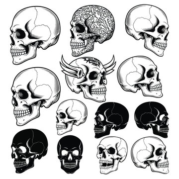 Side View Human Skull Vector Set