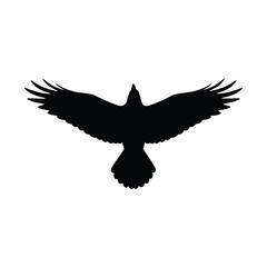 A silhouette of a bird with outstretched wings in flight isolated on white background