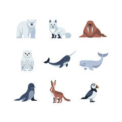 Arctic Animals Collection Polar Bears Foxes Walruses and More