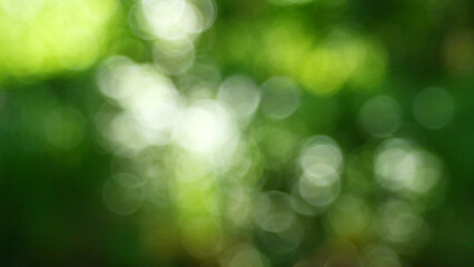 Vintage lens bokeh: bright nature in the out-of-focus area, glare and flare, for collage and design