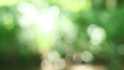 Vintage lens bokeh: bright nature in the out-of-focus area, glare and flare, for collage and design