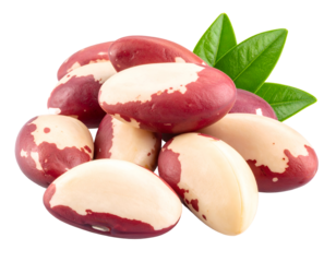 A delightful cluster of nutritious Brazil nuts, showcasing their unique appearance alongside vibrant green leaves.