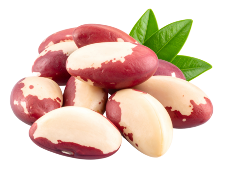 A delightful cluster of nutritious Brazil nuts, showcasing their unique appearance alongside vibrant green leaves.