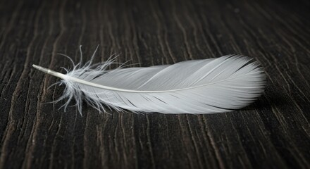 A delicate white feather rests gently on a dark, textured wooden surface, evoking peace.