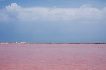 Marais salants du Sud de la France à l'eau rose à cause des crustacées de la Camargue dont...