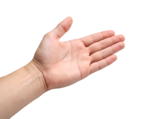 The soft skin of an open human palm is presented upwards, suggesting a gesture of giving or taking.