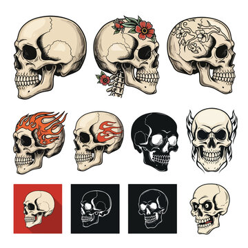 Human Skull Vector Bundle &ndash; Profile Illustrations in Multiple Styles