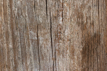 Wood abstract texture. Surface grunge backdrop. Dirty wooden effect pattern. Material background.
