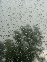 blurred tree through window raindrops. raindrop symphony 