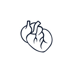 Simple line drawing of a human heart with veins, showing an anatomical design in minimalist style.