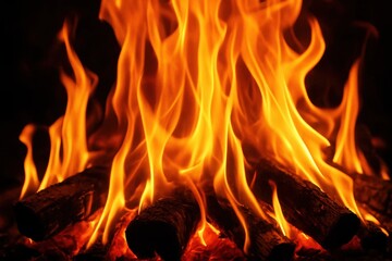 A Close-Up of Intense Wood Burning