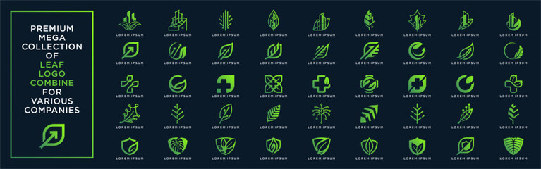 Premium mega collection of leaf logo combine for various company