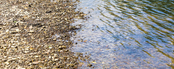 Clear river water gently washes over a bank strewn with small pebbles. This serene natural landscape evokes a sense of tranquility, ideal for images of summer relaxation.