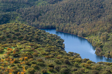 Obraz premium Breathtaking river flowing through lush green forest landscape