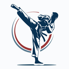 Dynamic martial artist performing a powerful mid kick in a striking silhouette