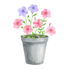 Fototapeta premium Watercolor Million Bells in Decorative Pot – Artistic Floral PNG Clipart