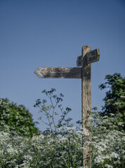 public bridleway on a summers day