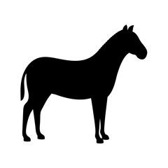 A striking, solid black silhouette of a zebra standing on a white backdrop