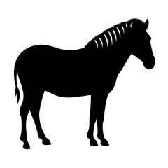 Silhouette of a standing zebra showing its distinctive stripes and shape