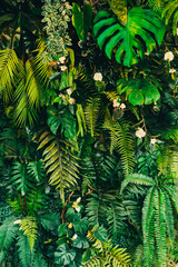 Close up group of background tropical green leaves texture and abstract background. Tropical leaf...