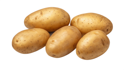 Fresh raw potatoes russet potato food vegetable healthy eating ingredient cooking recipe potato harvest