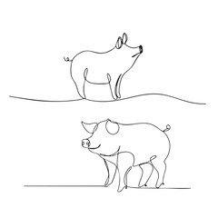 pig one line art, continuous line art, animal, illustrations