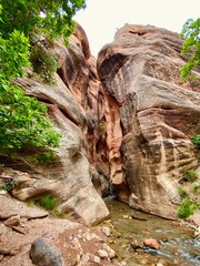 waterfall in the forest