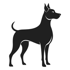 black dog isolated on white