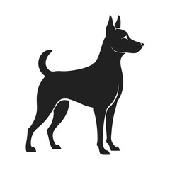 black and white dog