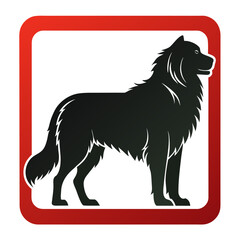 black and white dog