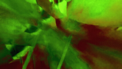 Abstract vibrant green and red blurred background, ideal for energetic, organic, or digital art themes