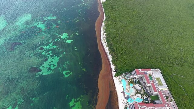 Dramatic Footage of Cancun's paradise coastline invaded by sargassum &mdash; showcasing the environmental clash between luxury resorts, mangroves, and ocean pollution.