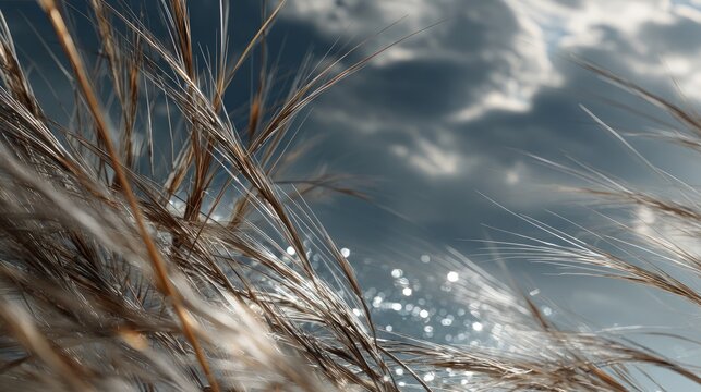 Close-up view of tall grass swaying in the wind.