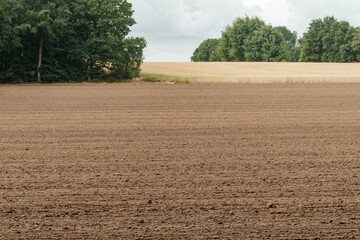 Fertile field ready for planting season