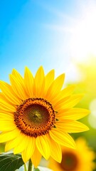 Obraz premium Bright sunflower with clear blue sky and sunlit background