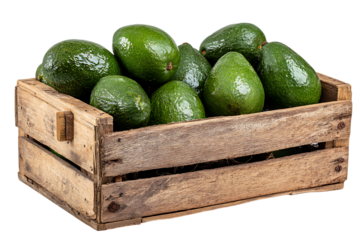 A crate of ripe, green avocados ready for sale or consumption.