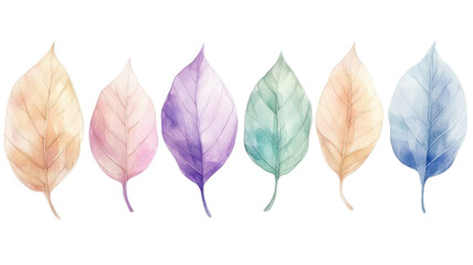 Obraz premium Assorted colorful leaves in various shapes and autumn shades, isolated on white background