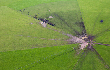 Agricultural abstract photograph of a pivot irrigation system near St Francis Bay, Eastern Cape...