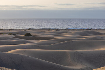 Sand dunes in the Maspalomas area of ​​Gran Canaria Spain