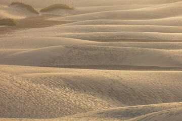 Sand dunes in the Maspalomas area of ​​Gran Canaria Spain