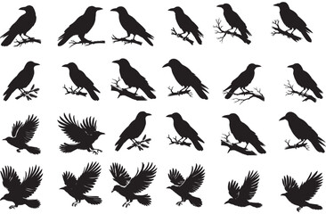 Raven set. Black crow silhouettes, blackbird different poses flying wild animal character icons for logo tattoo design. Vector isolated collection. Dark gothic birds fluttering with wings