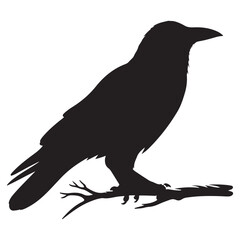 Crow sitting on dry tree branch silhouette isolated on white background. Icon vector illustration design.
