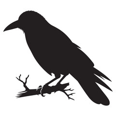 Crow sitting on dry tree branch silhouette isolated on white background. Icon vector illustration design.