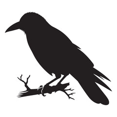 Crow sitting on dry tree branch silhouette isolated on white background. Icon vector illustration design.