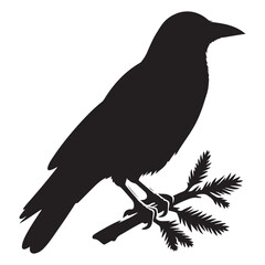 Crow sitting on dry tree branch silhouette isolated on white background. Icon vector illustration design.