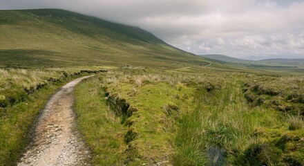 Fototapeta premium path to the mountains