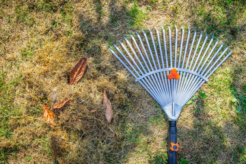 Cleaning up the grass with a rake. Aerating and scarifying the lawn in the garden. Improving the...